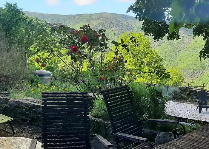 La Fleur Du Mas